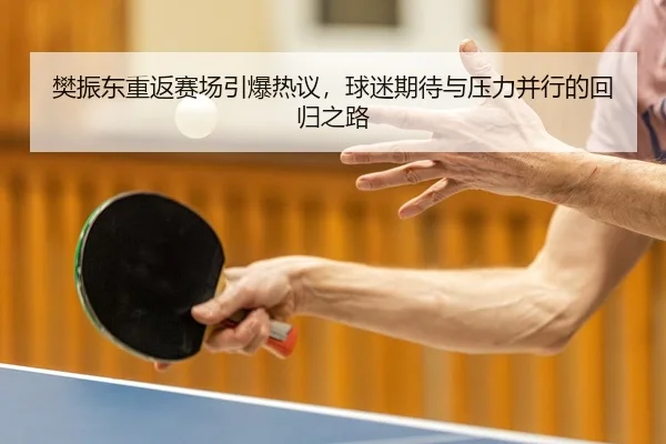 樊振东重返赛场引爆热议，球迷期待与压力并行的回归之路